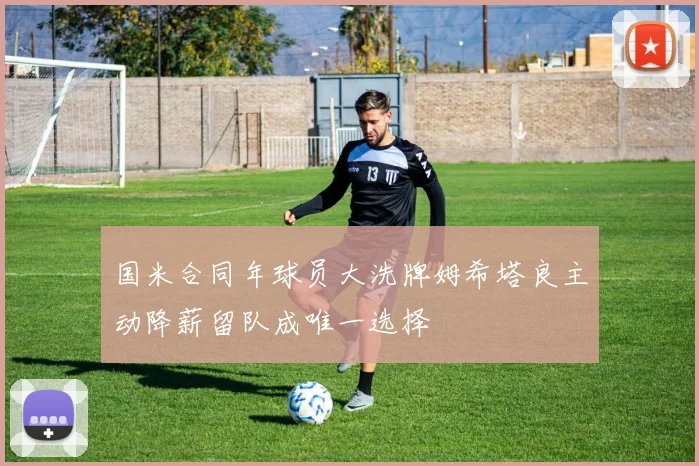国米合同年球员大洗牌姆希塔良主动降薪留队成唯一选择