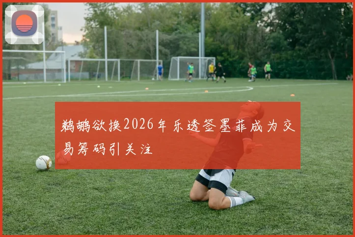鹈鹕欲换2026年乐透签墨菲成为交易筹码引关注
