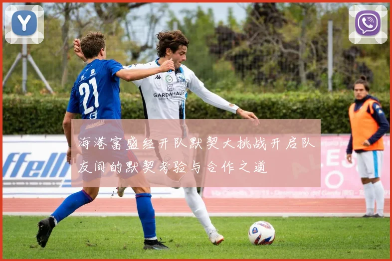 海港富盛经开队默契大挑战开启队友间的默契考验与合作之道